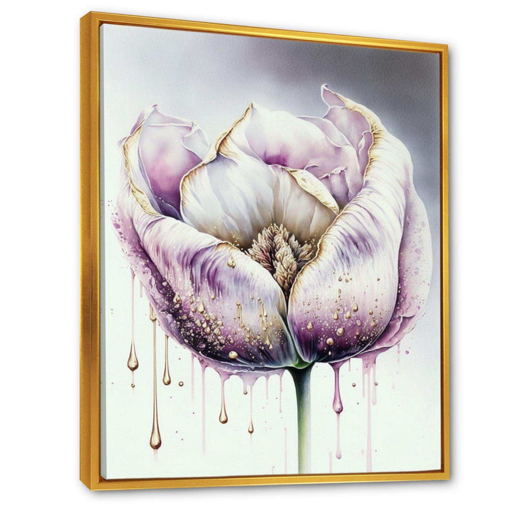 Cream And Purple Tulip III