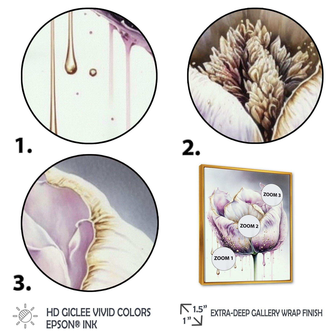 Cream And Purple Tulip III