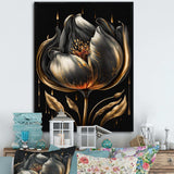 Black And Gold Tulip