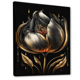 Black And Gold Tulip