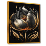 Black And Gold Tulip