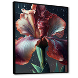 Red Gladiolus Flowers I