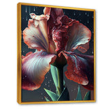 Red Gladiolus Flowers I