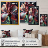 Red Gladiolus Flowers I