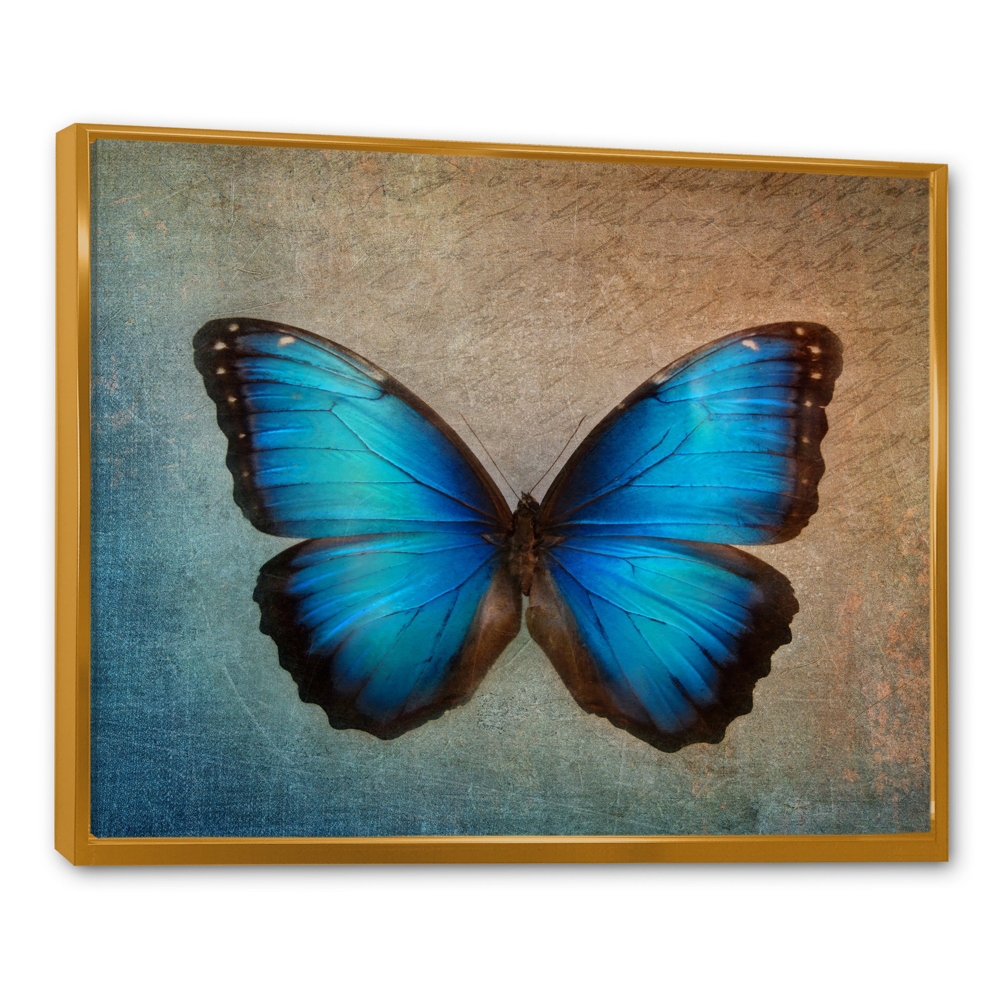 Blue Vintage Butterfly