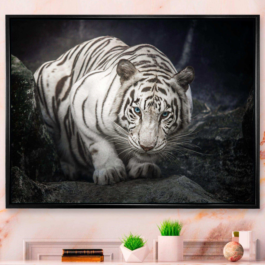 White Tiger