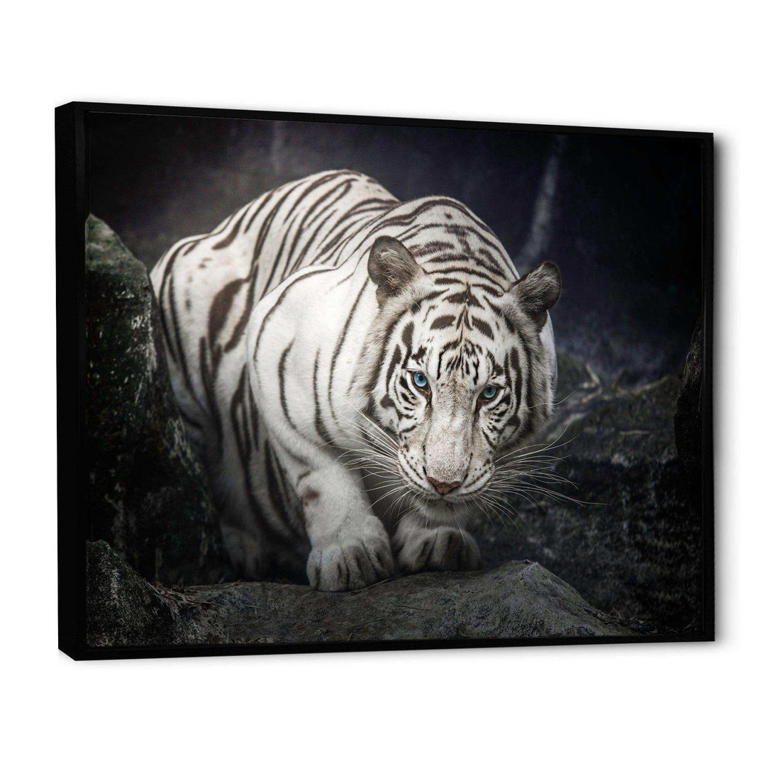 White Tiger