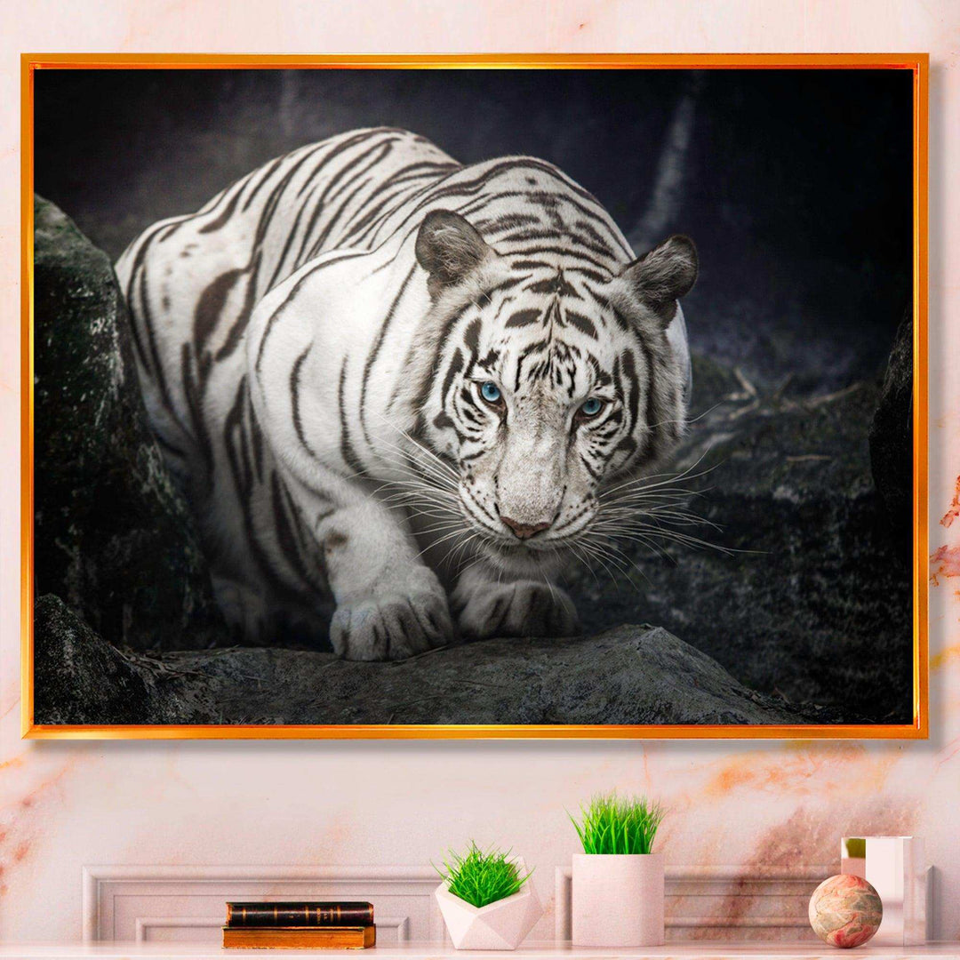 White Tiger