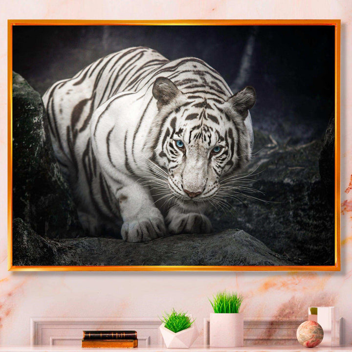 White Tiger