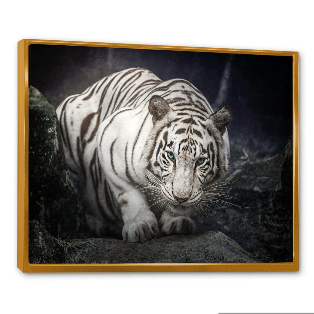White Tiger