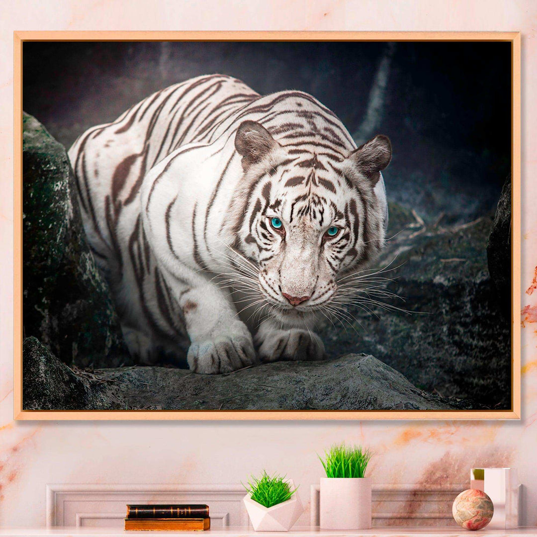 White Tiger
