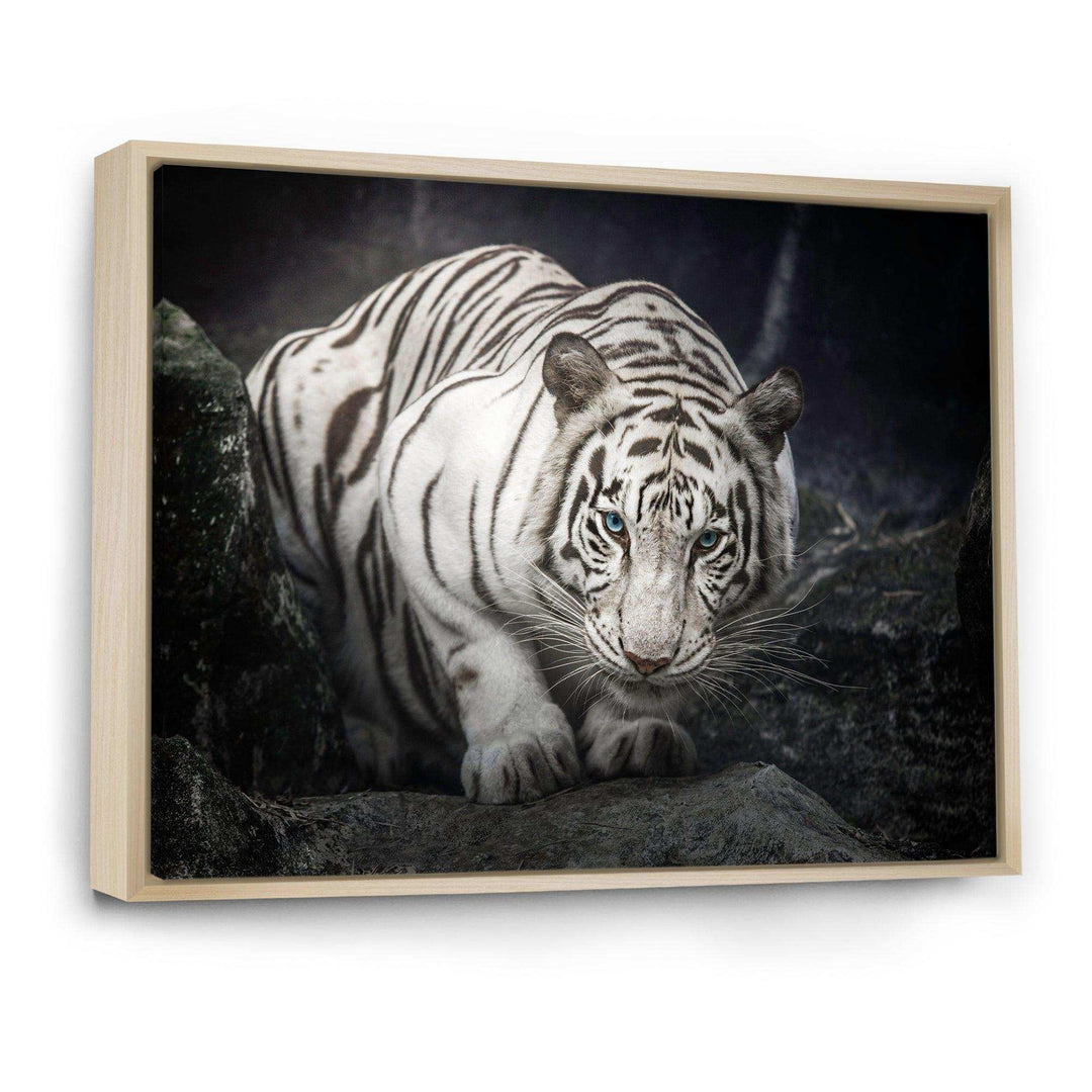 White Tiger