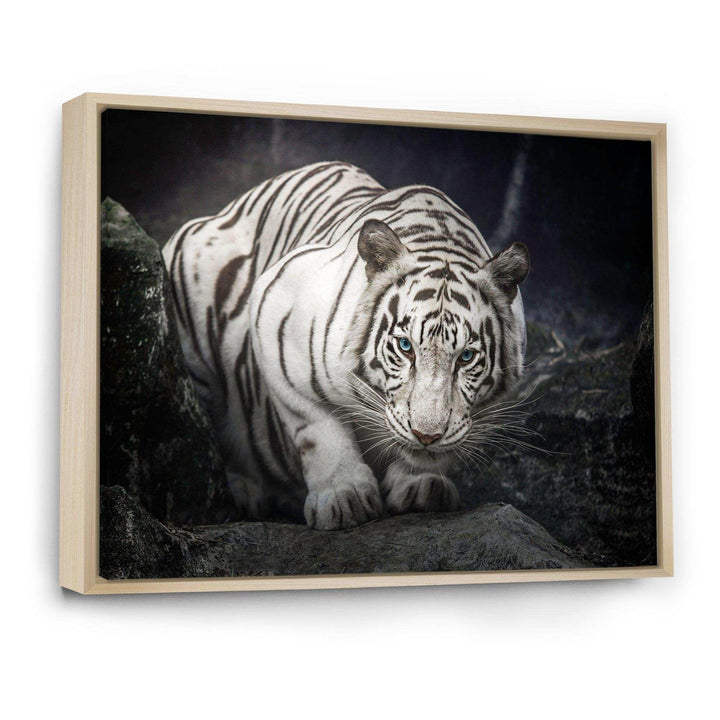 White Tiger