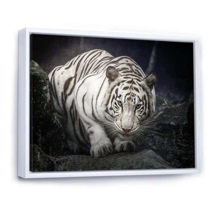 White Tiger