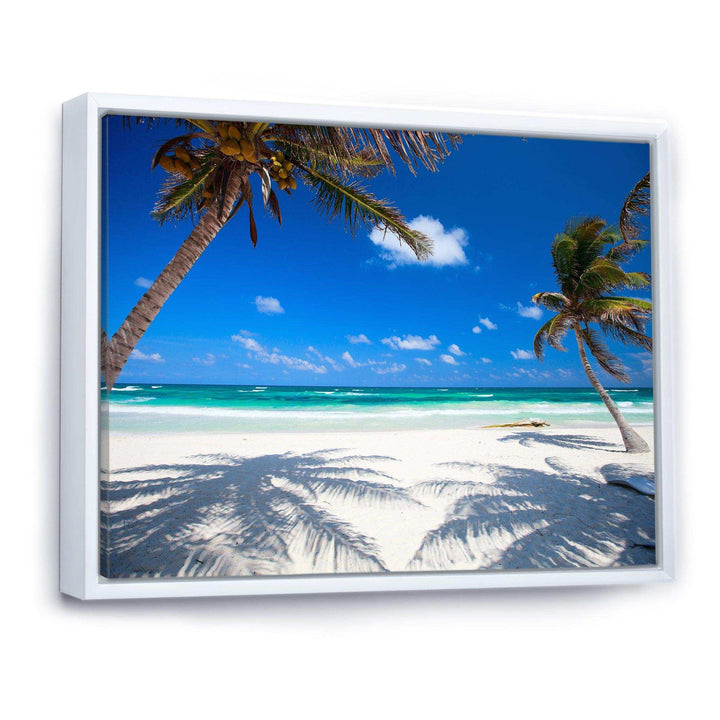 Coconut Palms at Beach