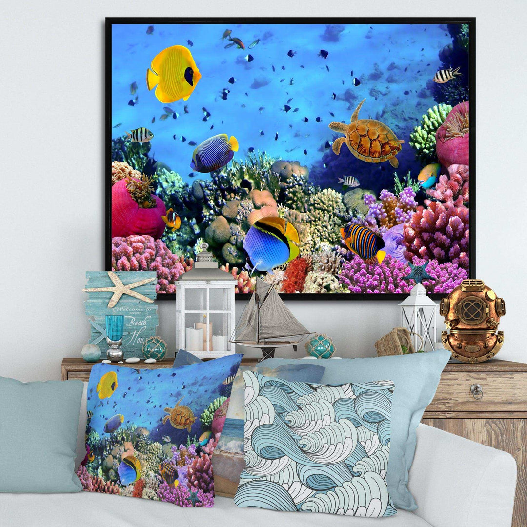 Coral Colony and Coral Fishes