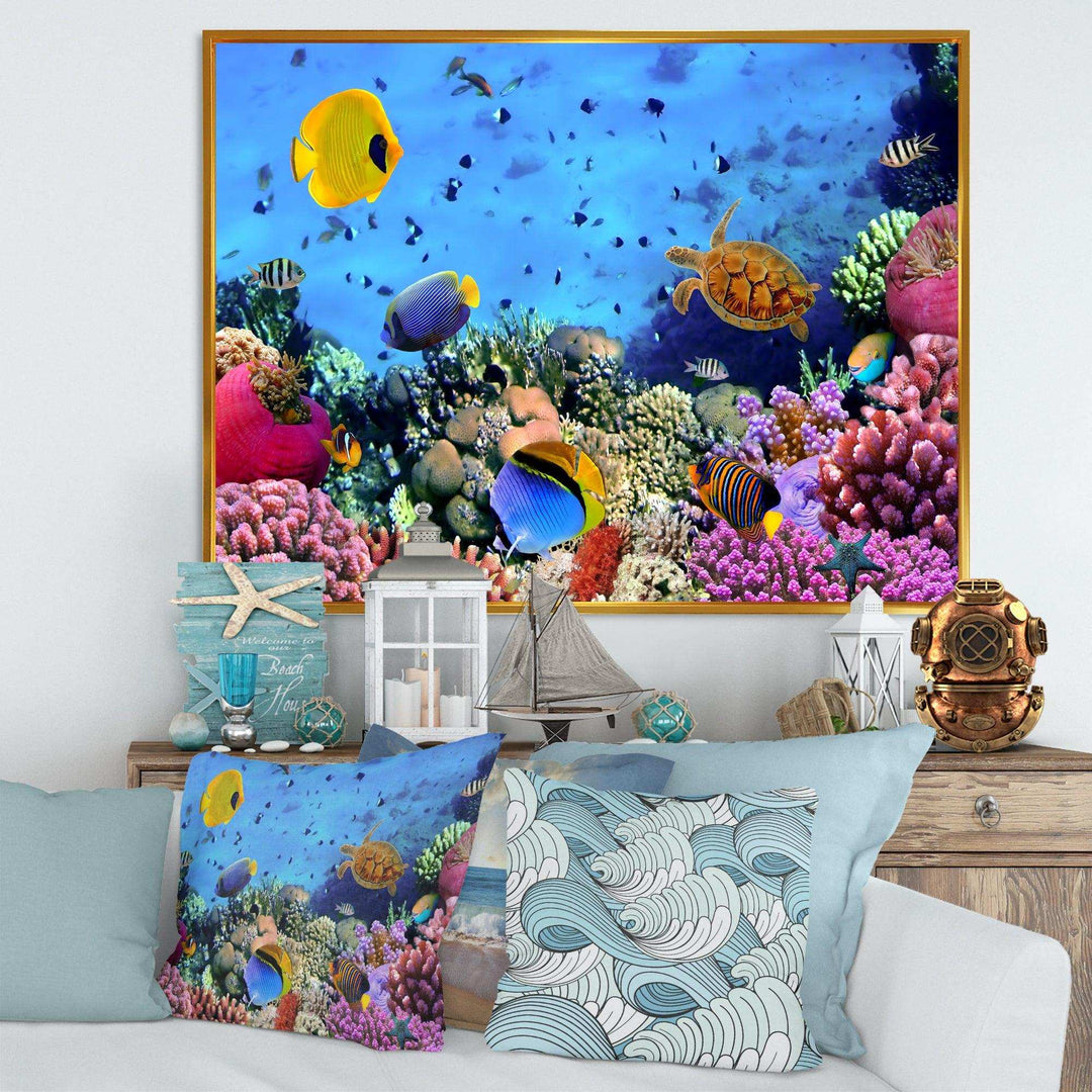 Coral Colony and Coral Fishes