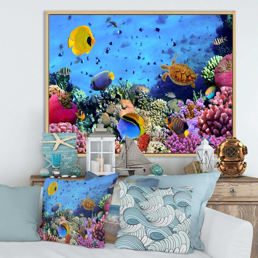 Coral Colony and Coral Fishes
