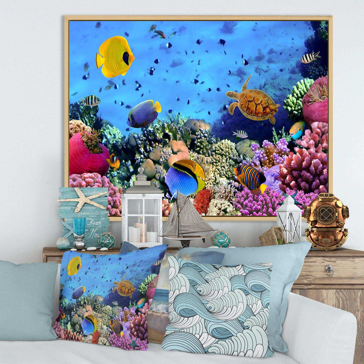 Coral Colony and Coral Fishes