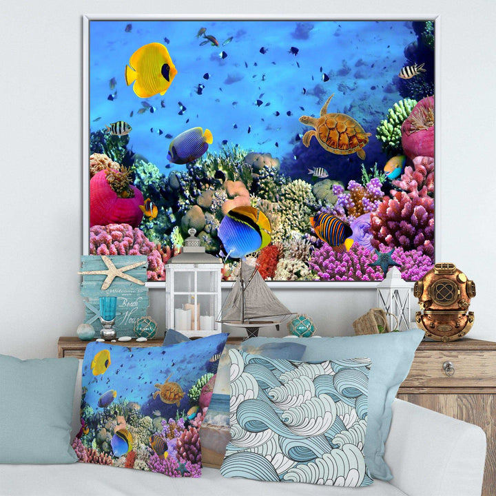 Coral Colony and Coral Fishes