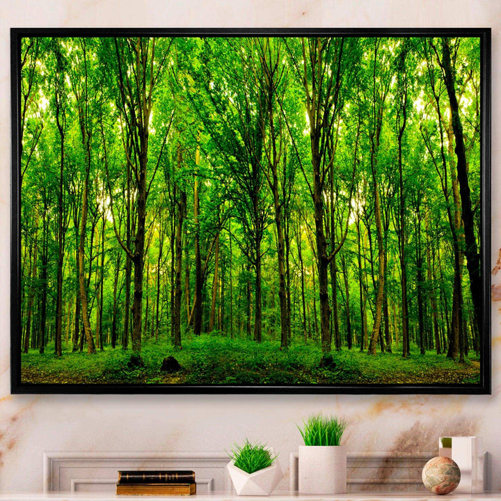 Green Forest