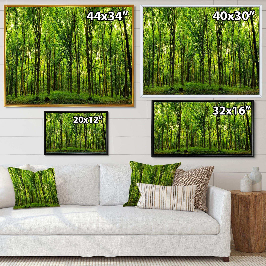 Green Forest