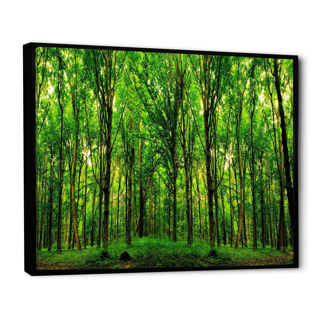 Green Forest