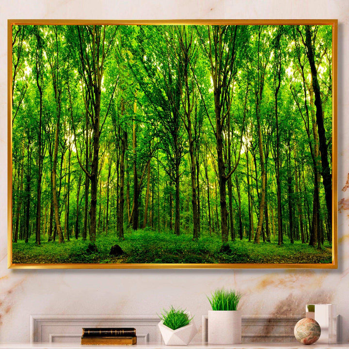 Green Forest