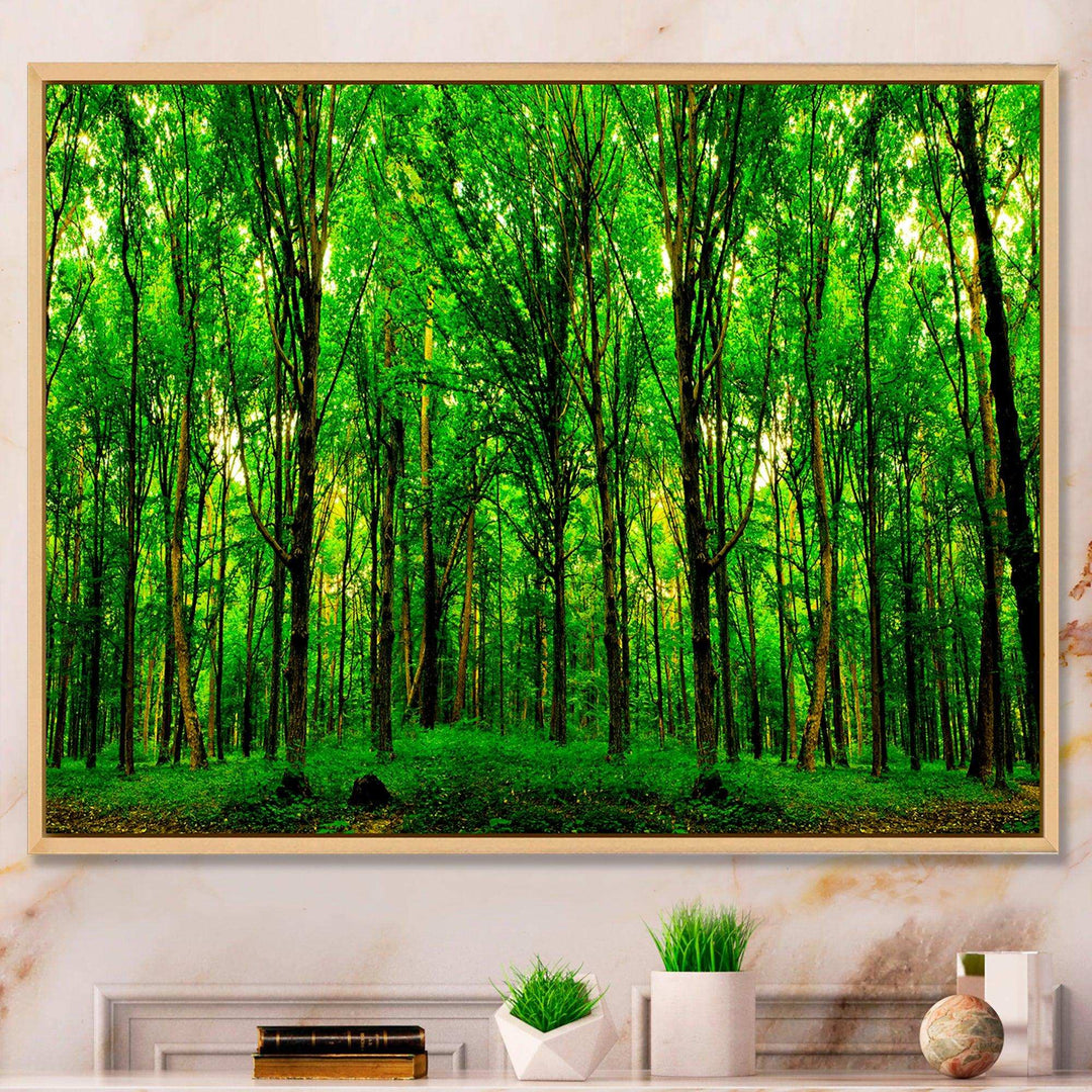 Green Forest