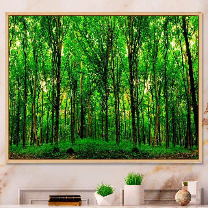 Green Forest
