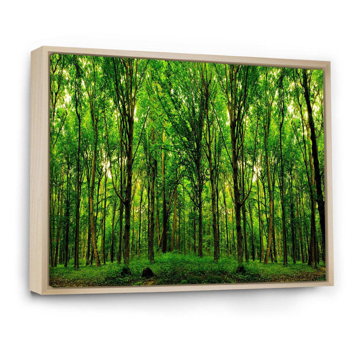 Green Forest