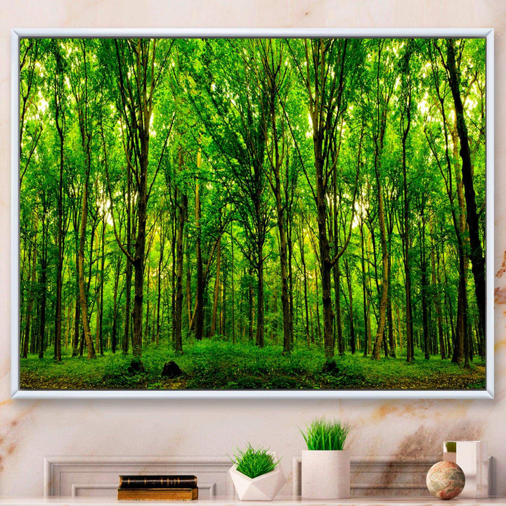 Green Forest