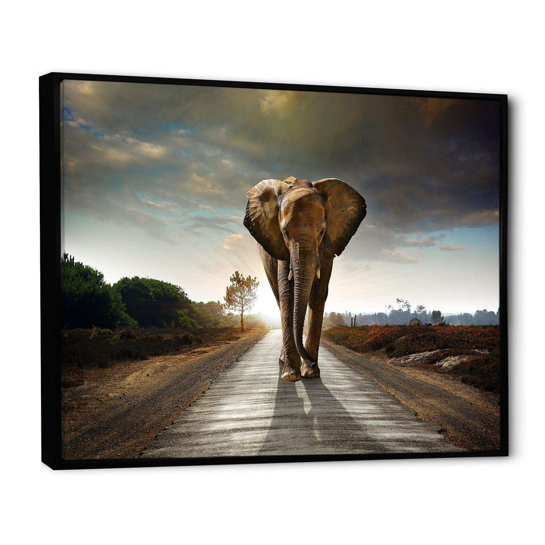 Single Walking Elephant