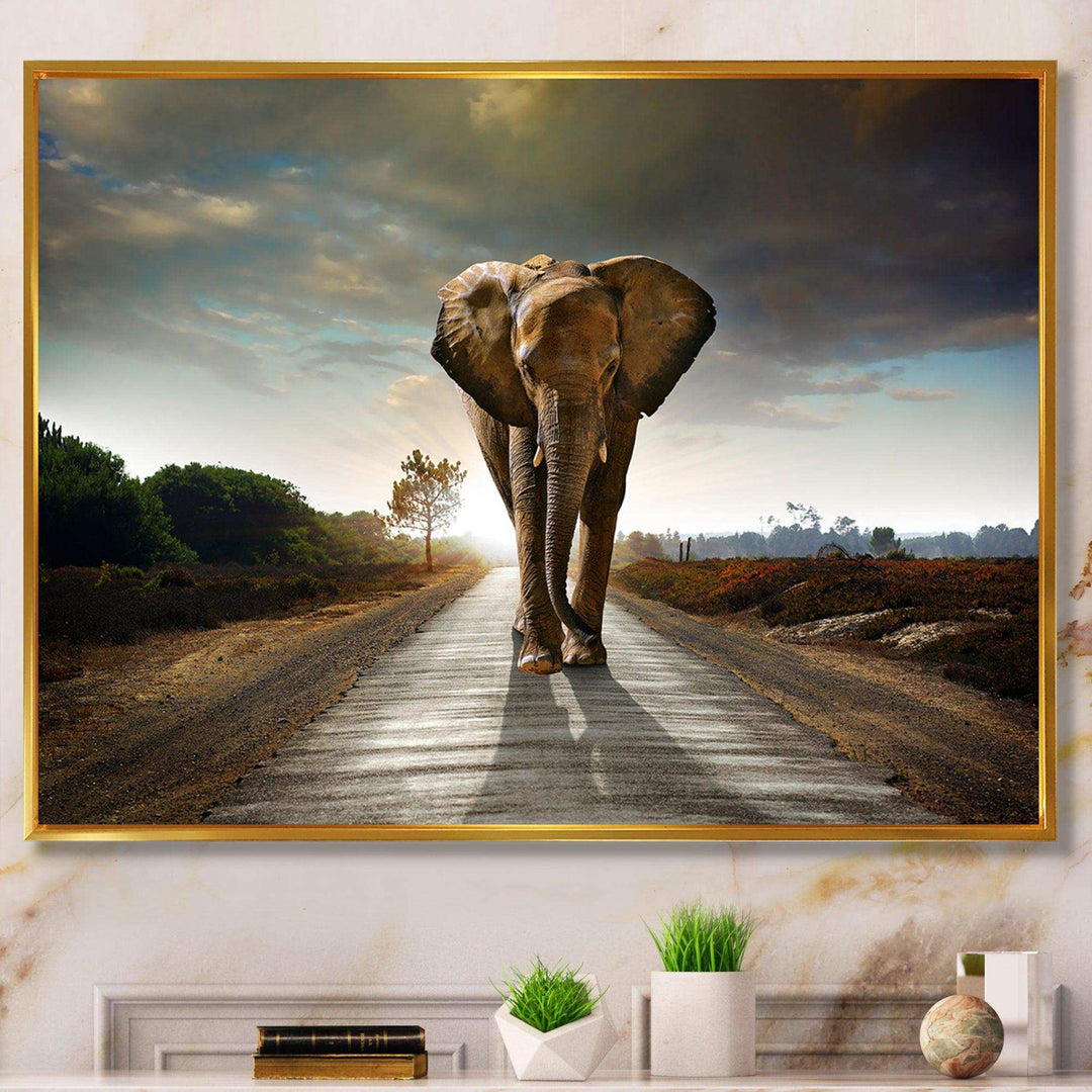 Single Walking Elephant