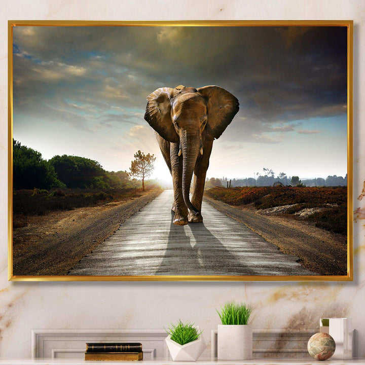 Single Walking Elephant