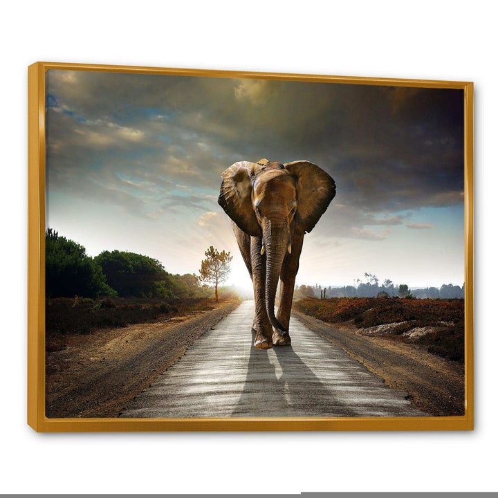 Single Walking Elephant