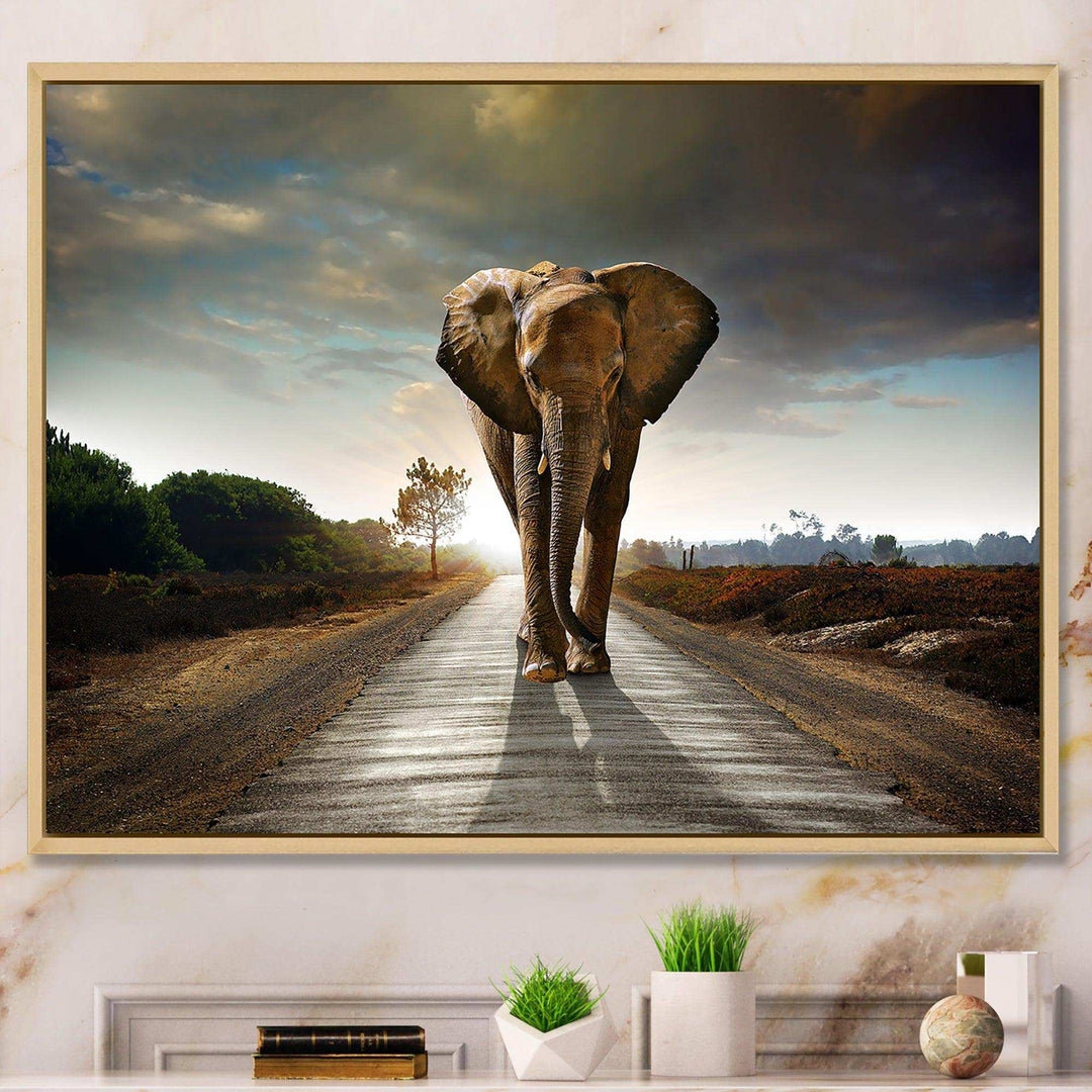 Single Walking Elephant
