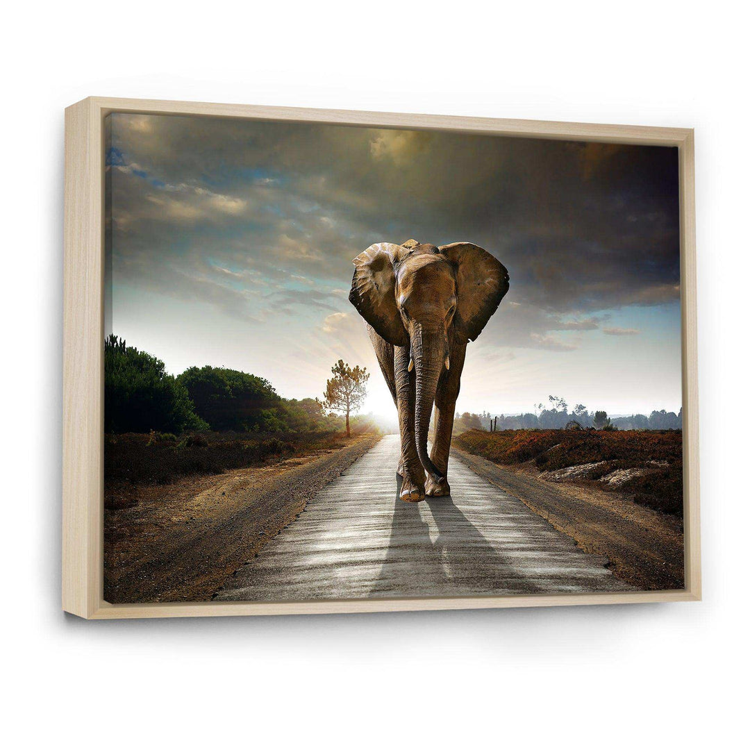 Single Walking Elephant
