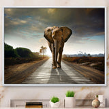 Single Walking Elephant