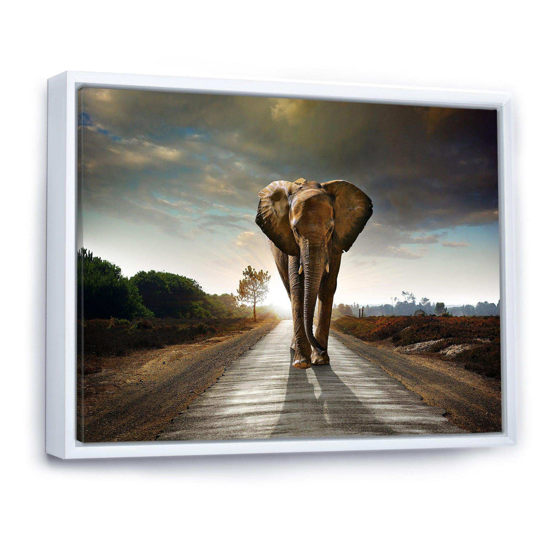 Single Walking Elephant