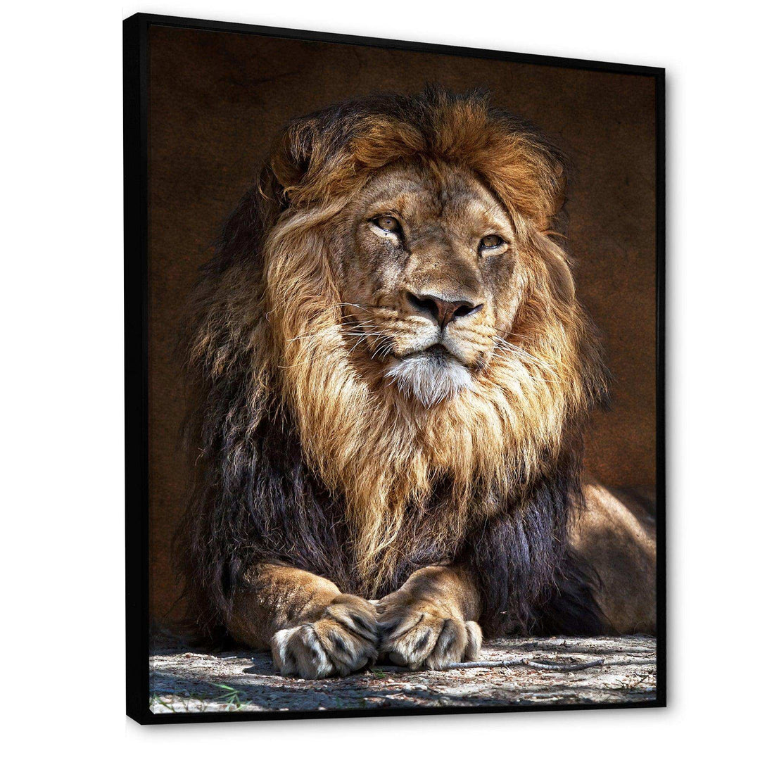 King Lion with Lighted Face