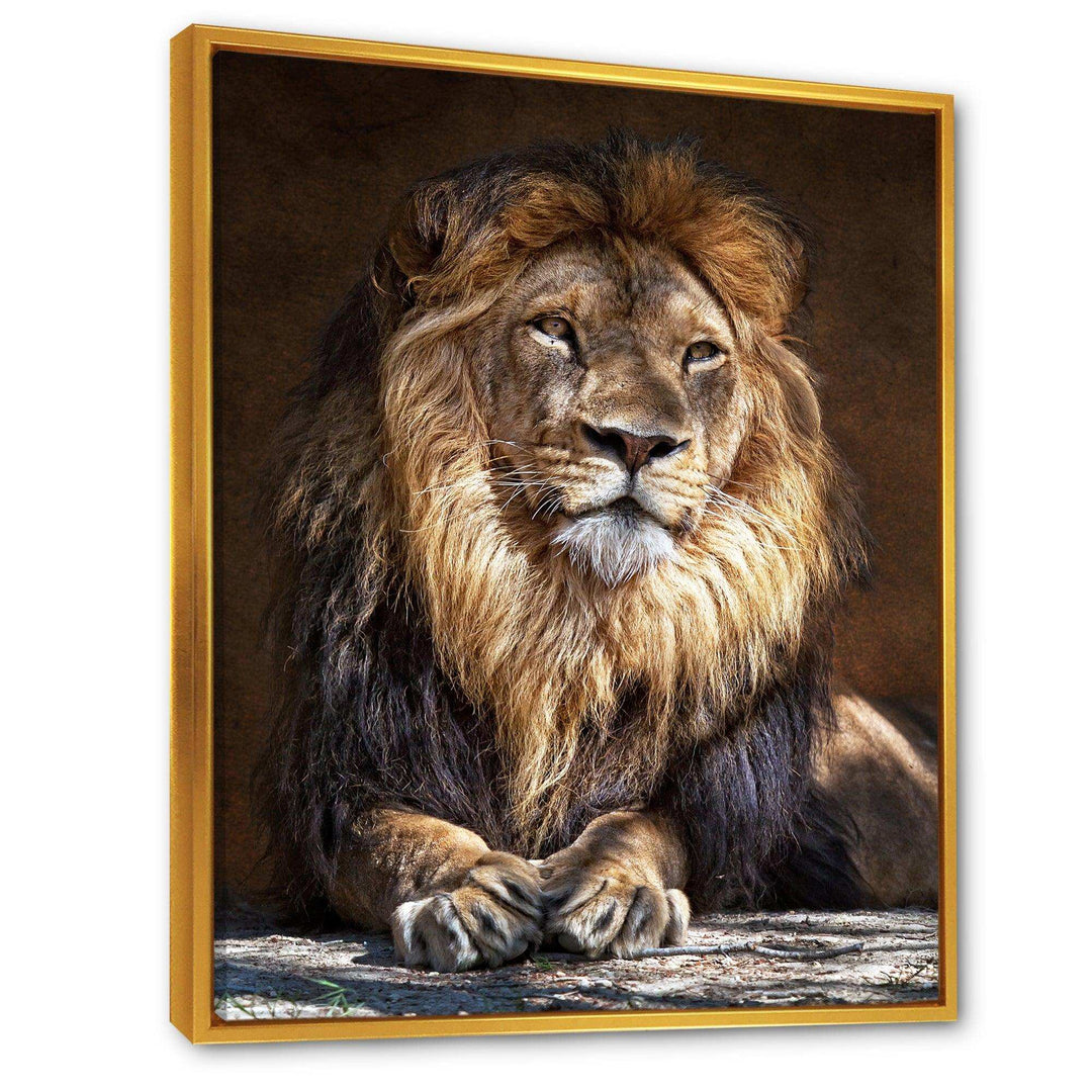 King Lion with Lighted Face