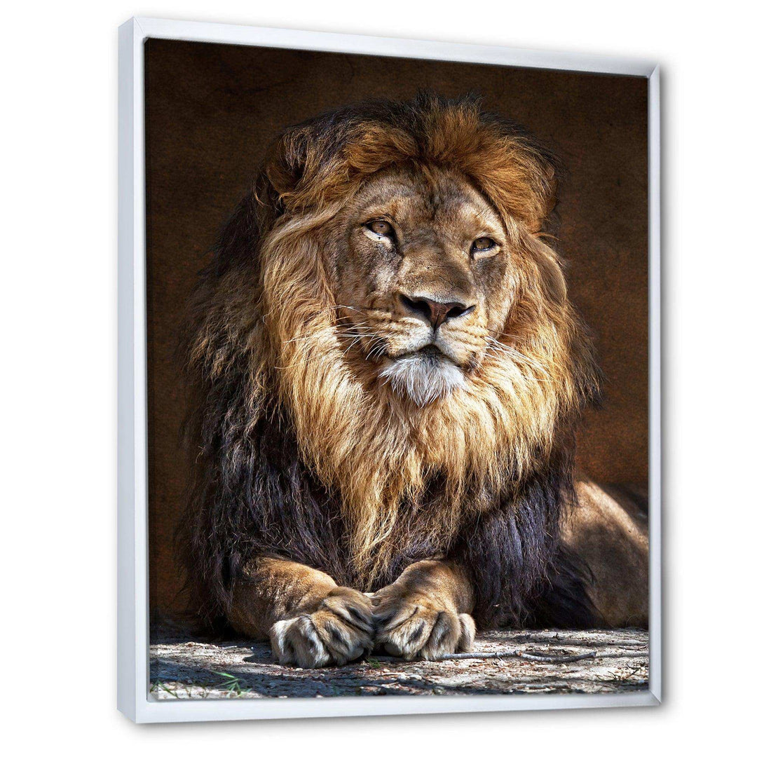 King Lion with Lighted Face