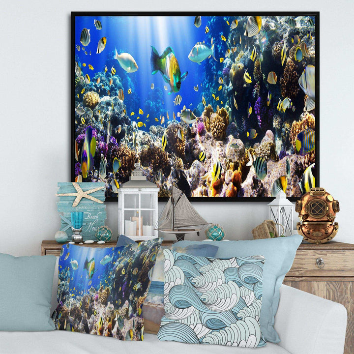 Coral Colony and Coral Fish