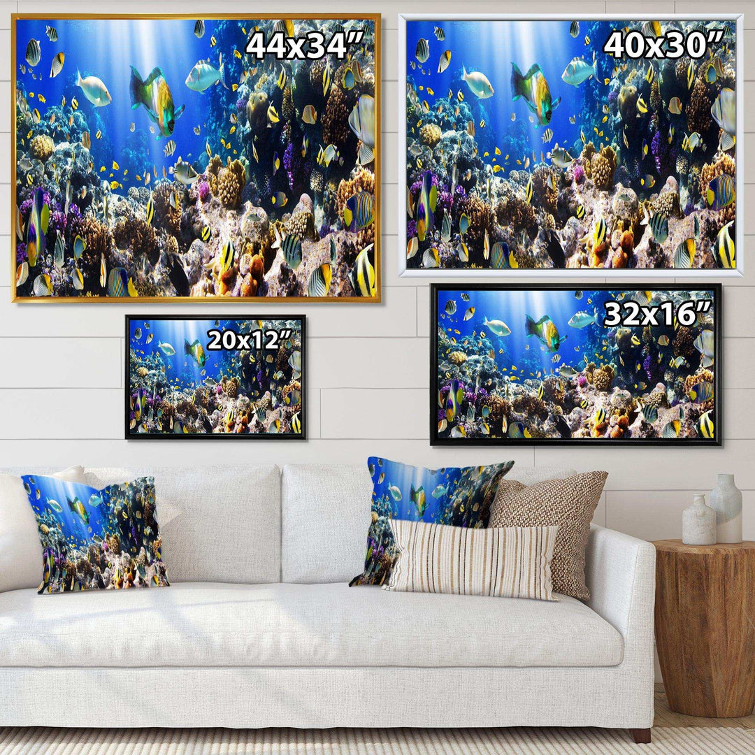 Coral Colony and Coral Fish