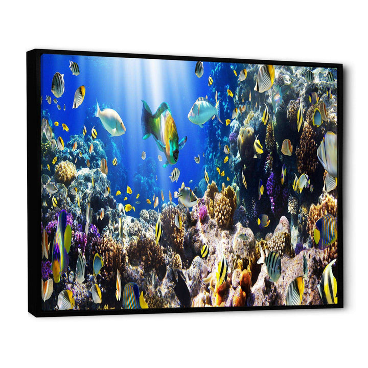 Coral Colony and Coral Fish
