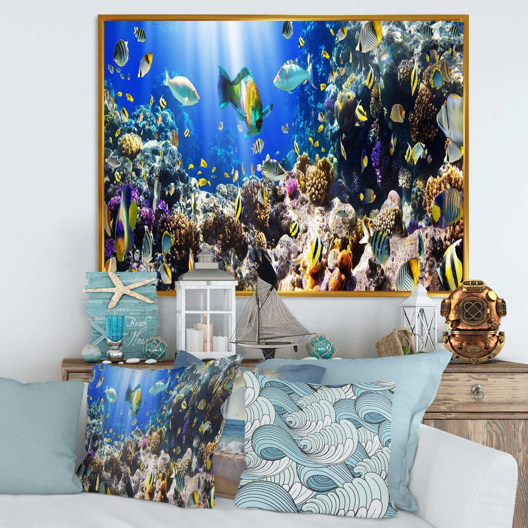 Coral Colony and Coral Fish