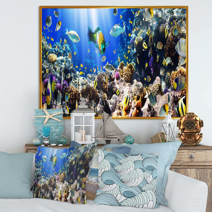Coral Colony and Coral Fish