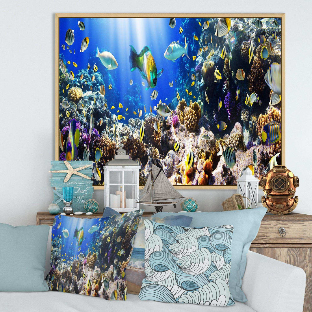 Coral Colony and Coral Fish