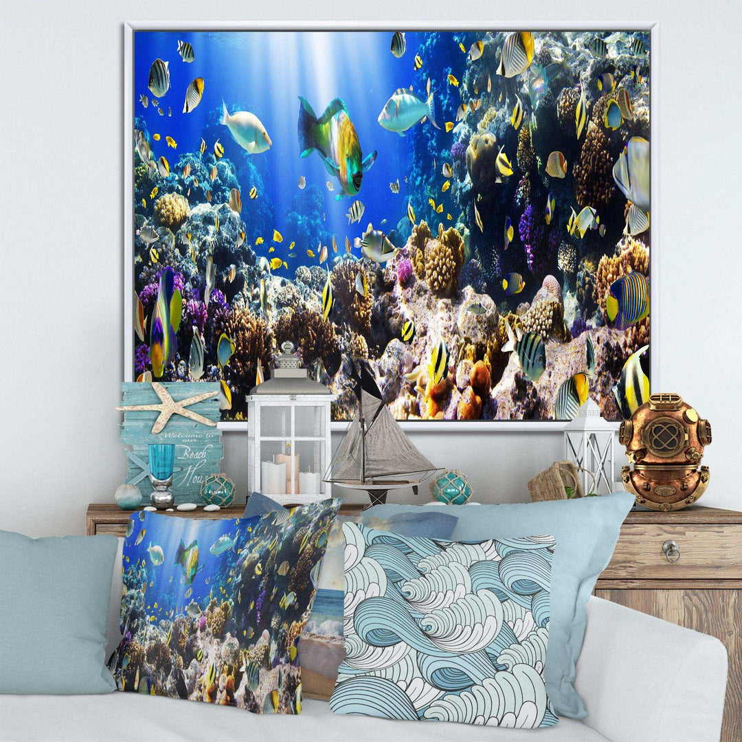 Coral Colony and Coral Fish